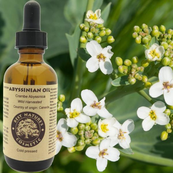 Масло Крамбе (Crambe аbyssinica), рафинированное Шампунька - магазин ингредиенто